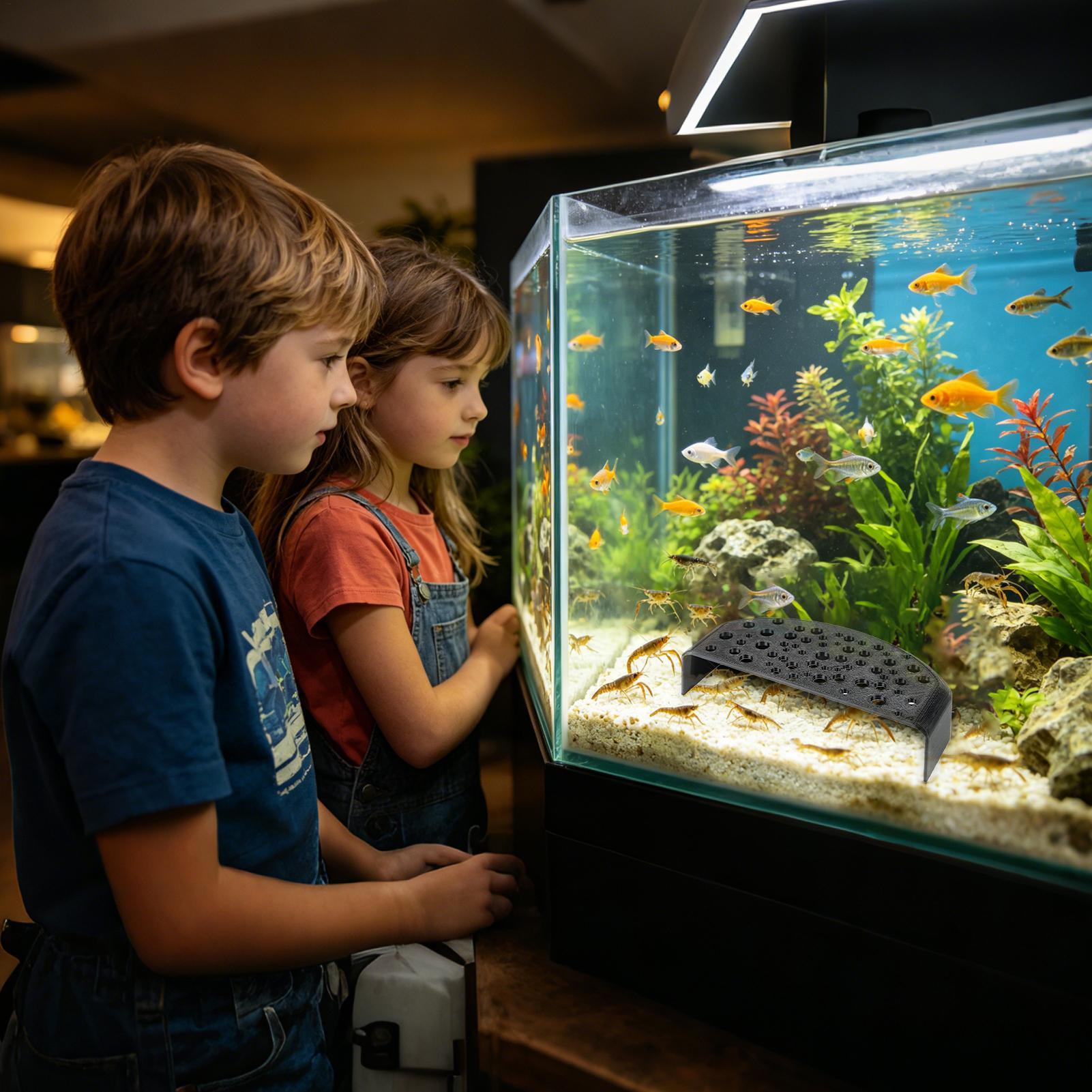 水生ペット用休憩飾り物、多穴繁殖シェルター、淡水エビやベタ魚 - Aquatic Zone のレビューと価格
